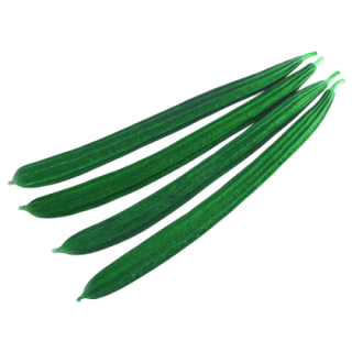 Ranjit Ridge Gourd From Known You Seed (India) (1)-KYI